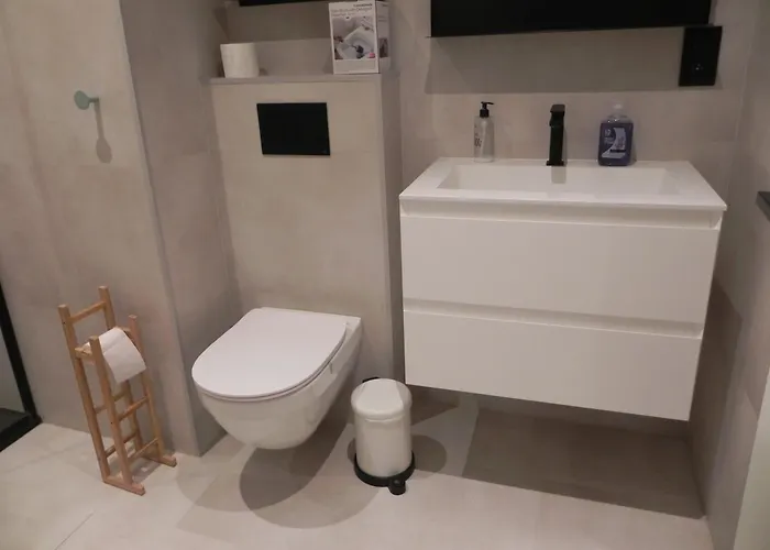 Silver Sunrise De Haan